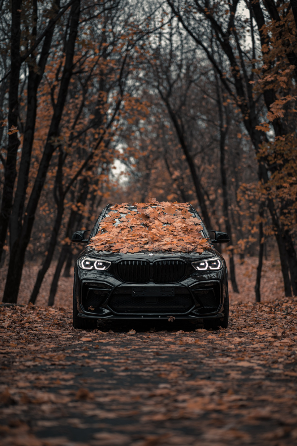 Осенний фотосет. Видео. — BMW X5 (G05), 3 л, 2020 года | фотография ...