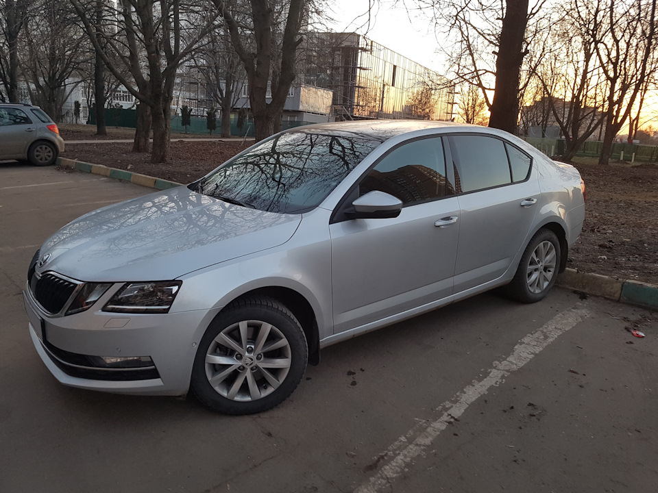 Фото в бортжурнале Skoda Octavia A7 Mk3