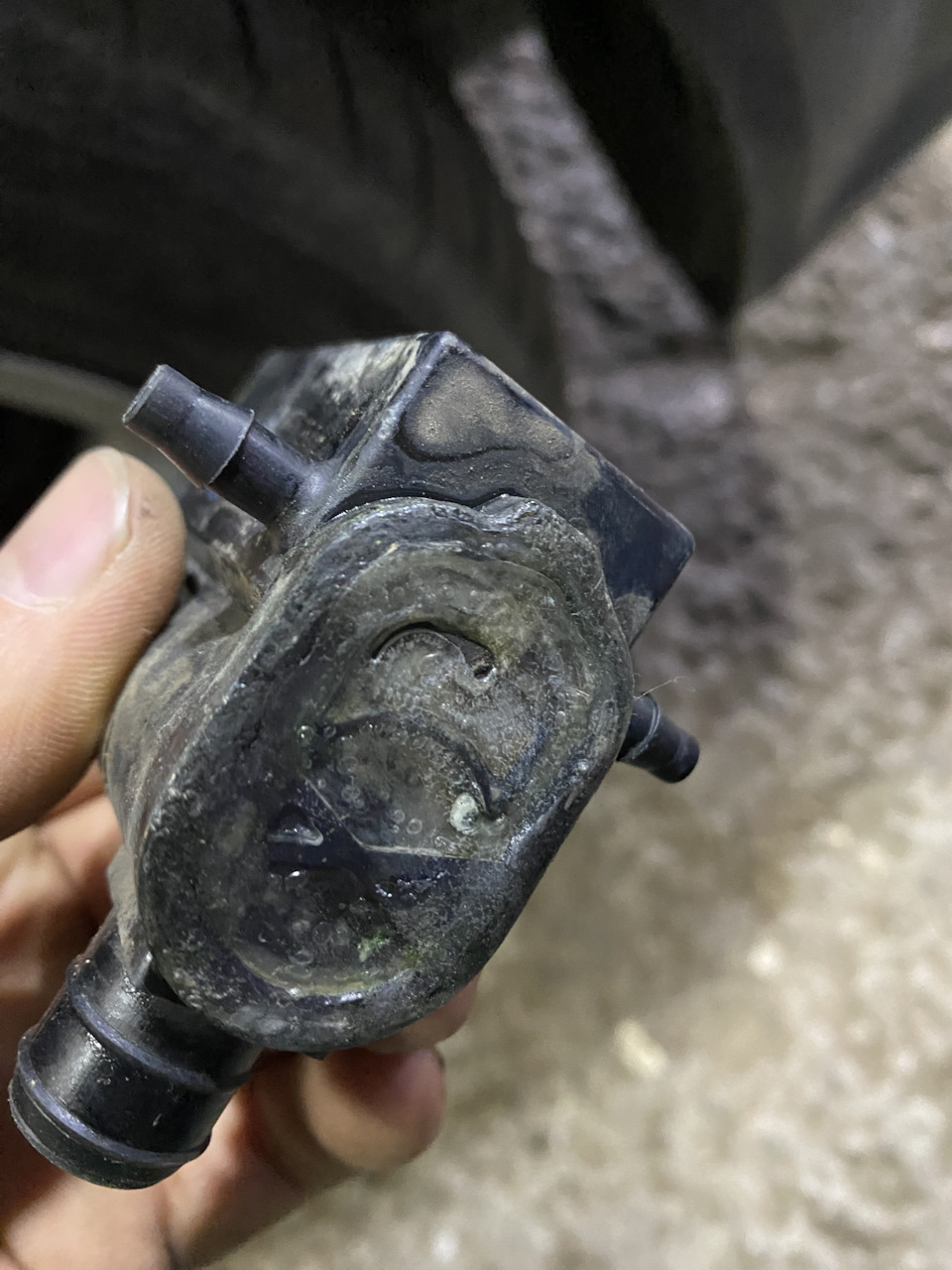 Насос омывателя стекол. — Hyundai Getz, 1,3 л, 2002 года | своими ...