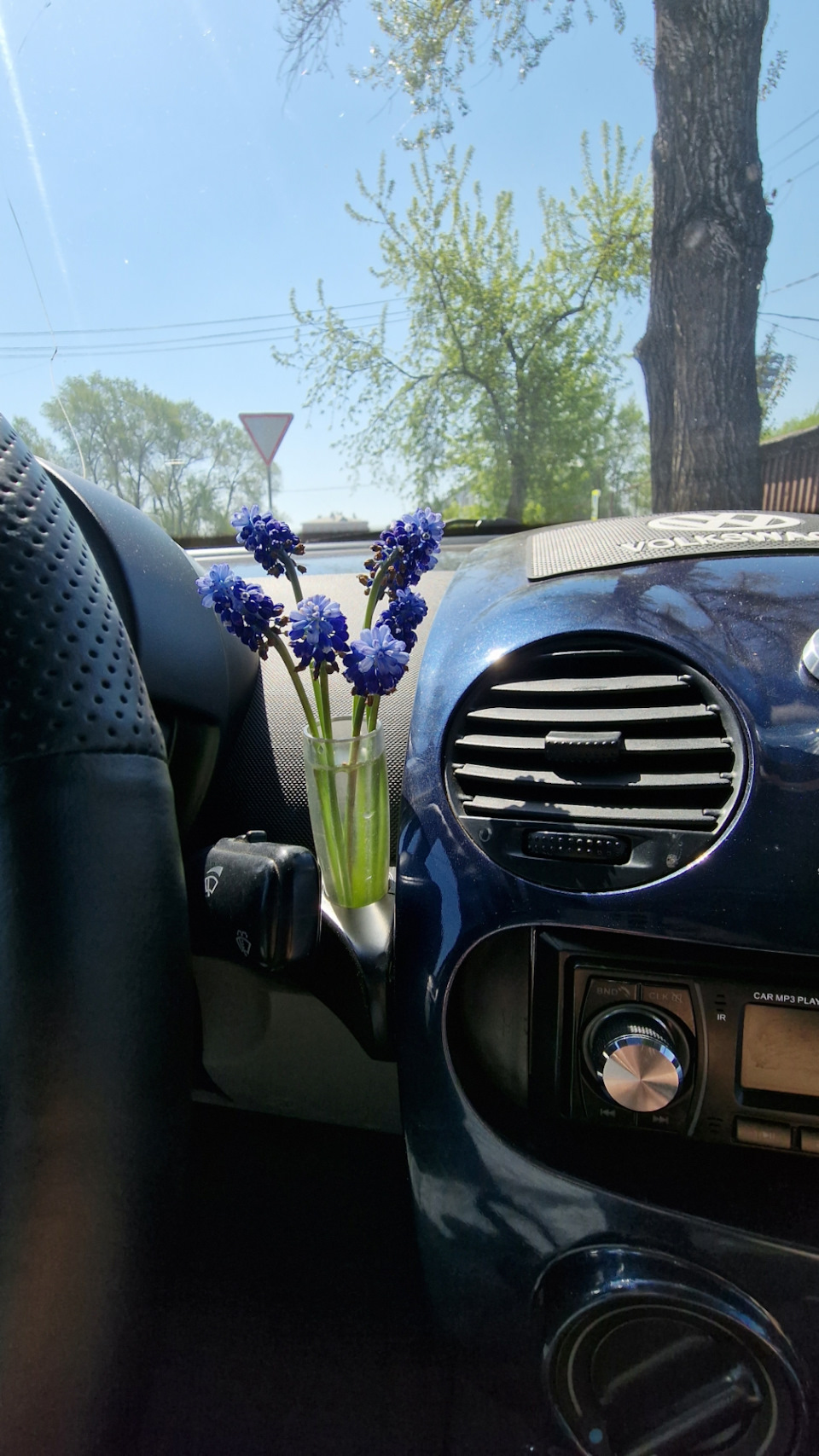 тюльпан в машине что это (98) фото