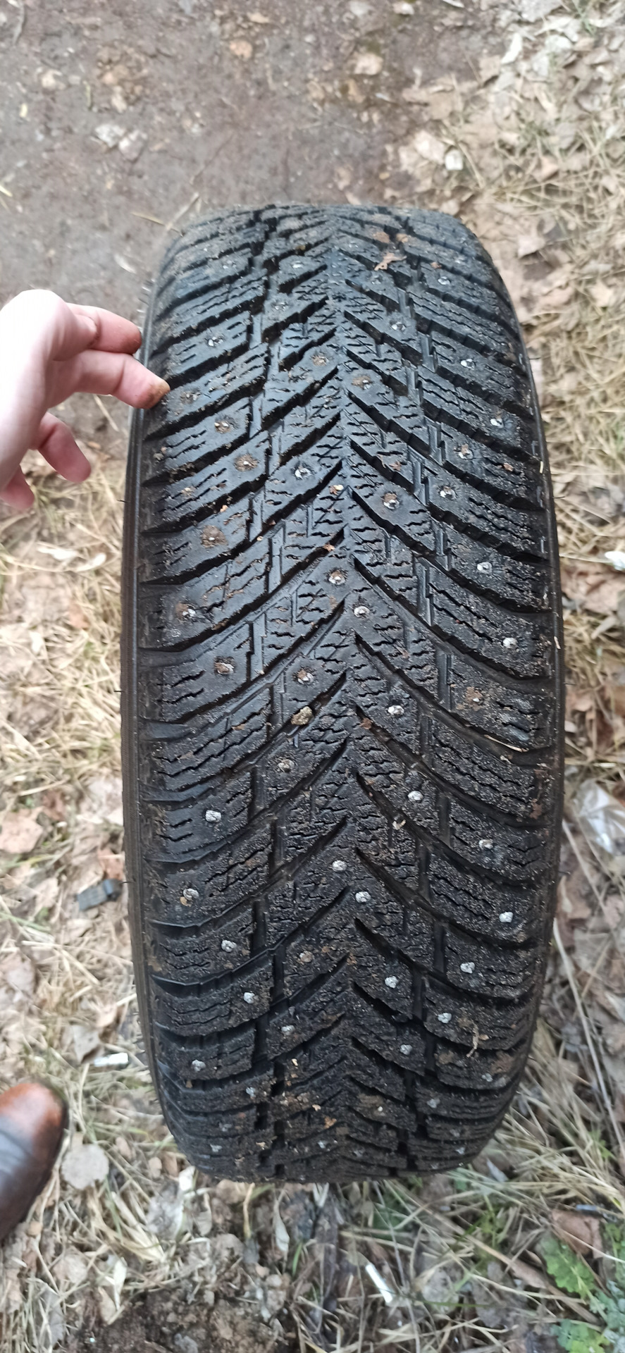 Nokian hakkapeliitta 10p