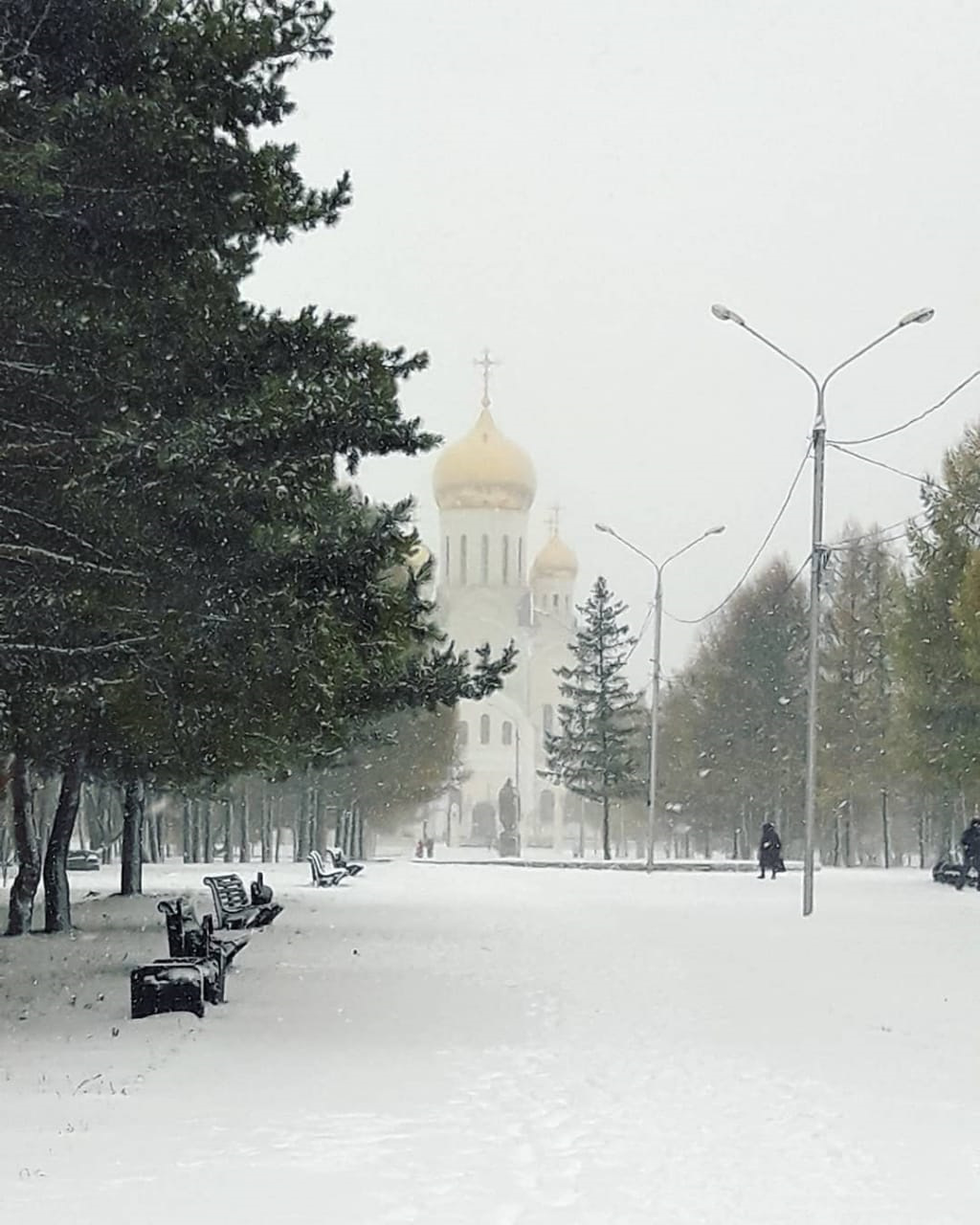 центральный парк новосибирск зимой