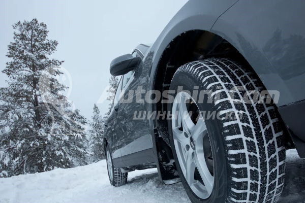 Рейтинг зимних автошин сезона 2024-2025 от autoshini.ru — Автошины Ру ...
