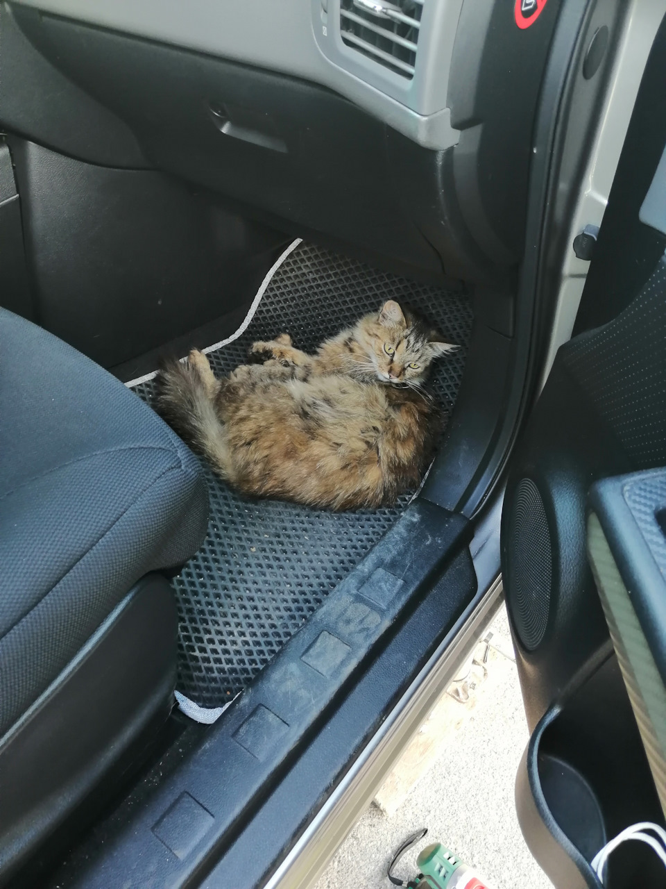 Задние габариты как ДХО — Skoda Yeti, 1,6 л, 2014 года | стайлинг | DRIVE2