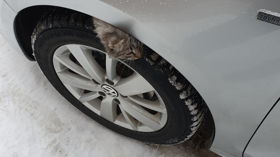 Ремонт led полосы в рестайл фарах — Volkswagen Jetta VI, 1,6 л, 2013 ...