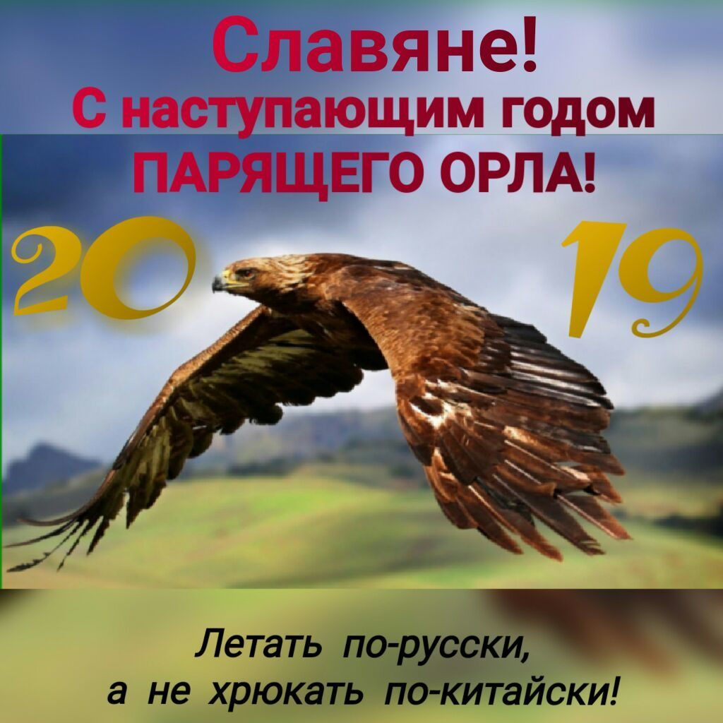 Год орла по календарю
