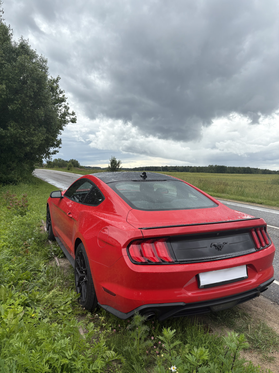 Photo from the logbook Ford Mustang (6G)