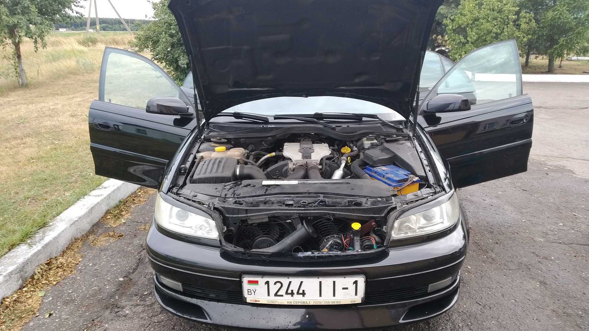 Opel Omega B 2.6 бензиновый 2001 | 2.6 v6 