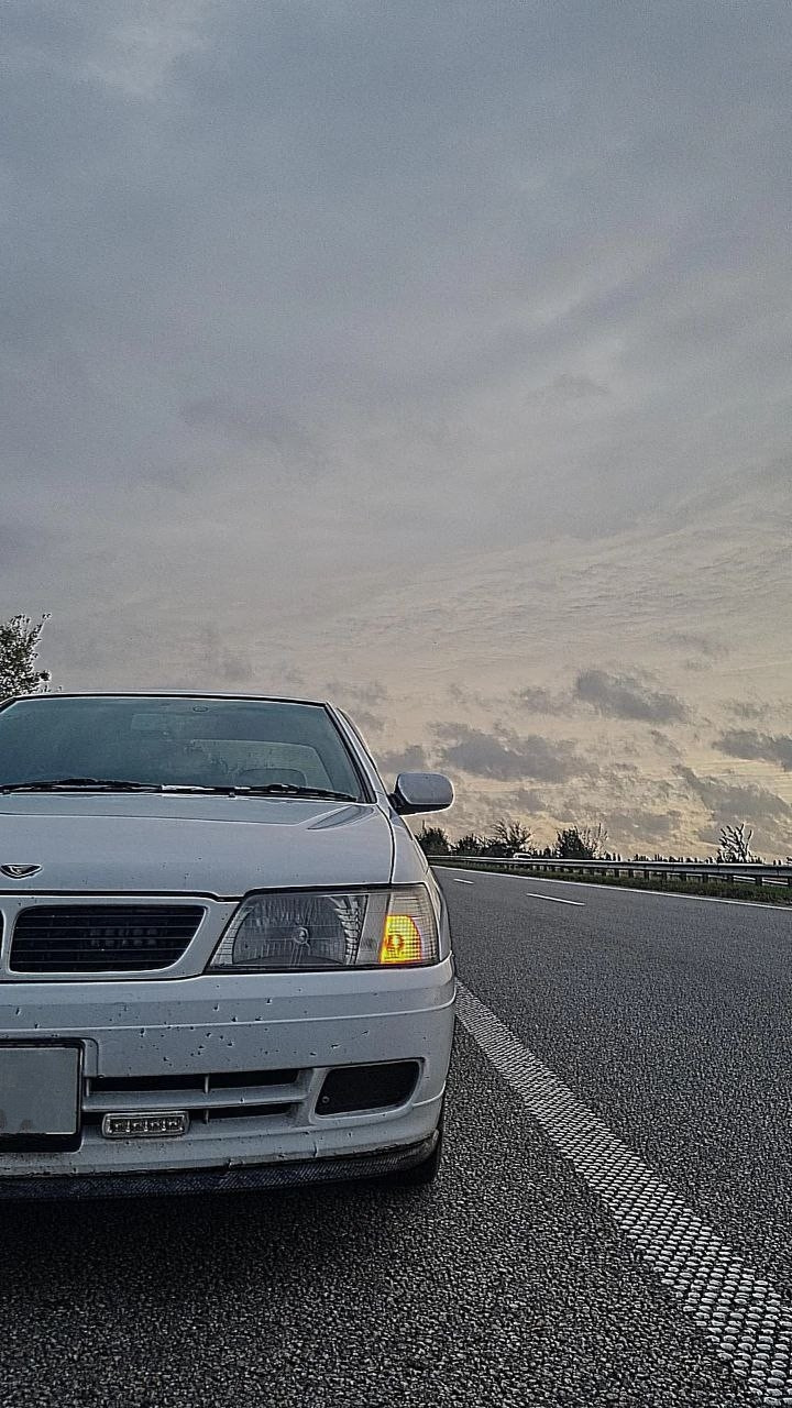 Накатали с птичкой более 4000км за неделю. Что-то мне подсказывает что ...