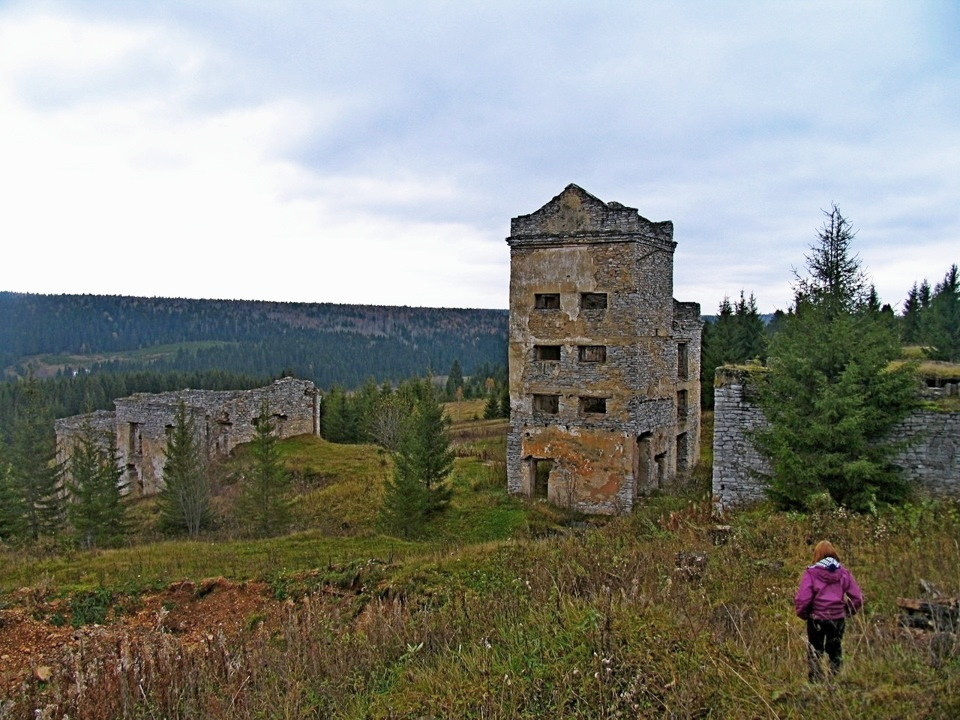 Кусье александровский фото