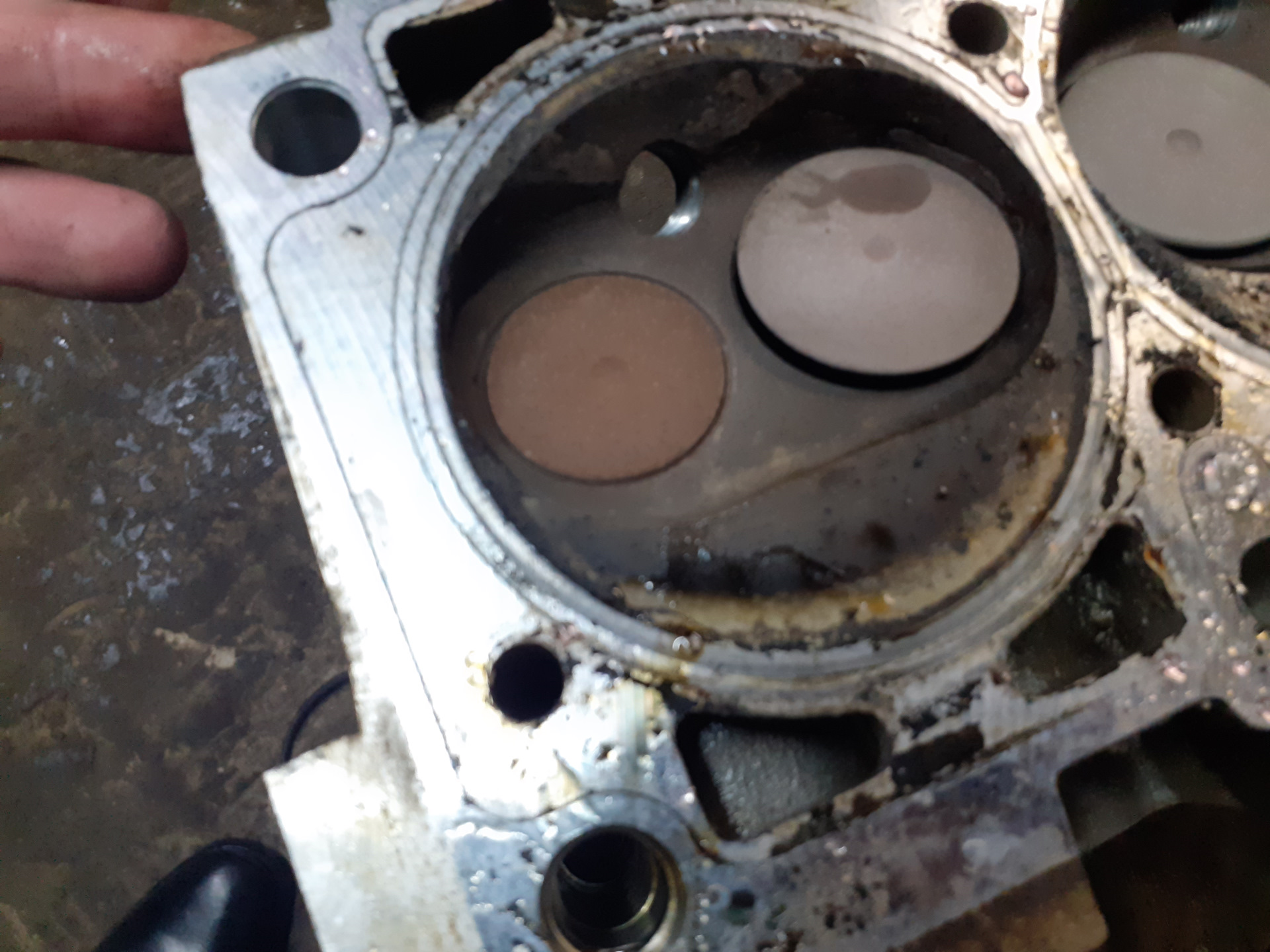 Что даёт портинг ГБЦ, первые впечатления — Datsun on-Do, 1,6 л, 2020 ...