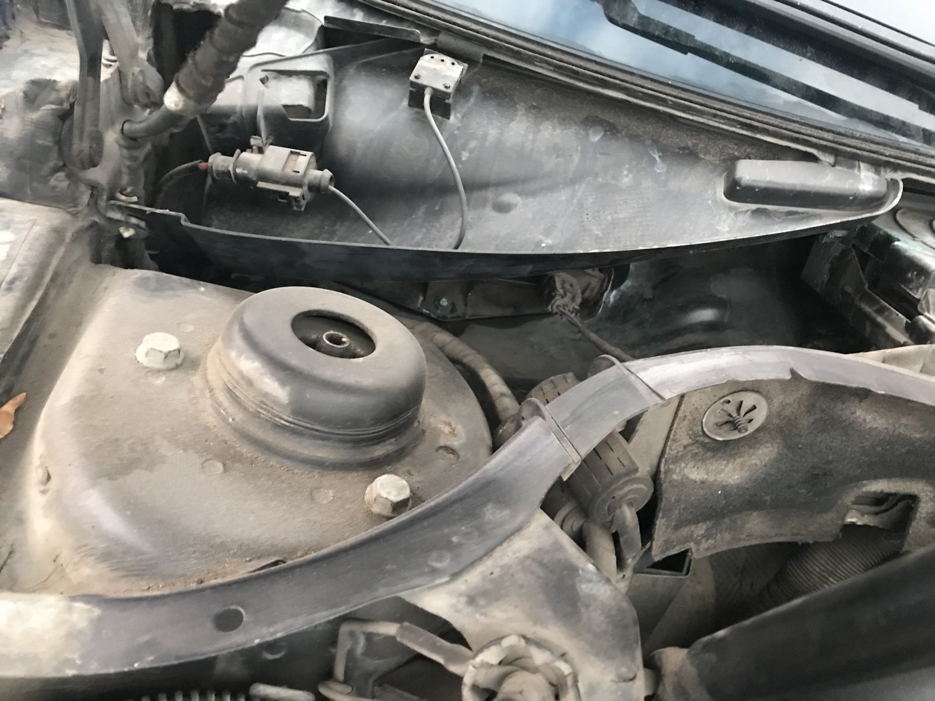 Датчик загрязнения воздуха (G238) — Volkswagen Passat B6, 1,8 л, 2008 ...