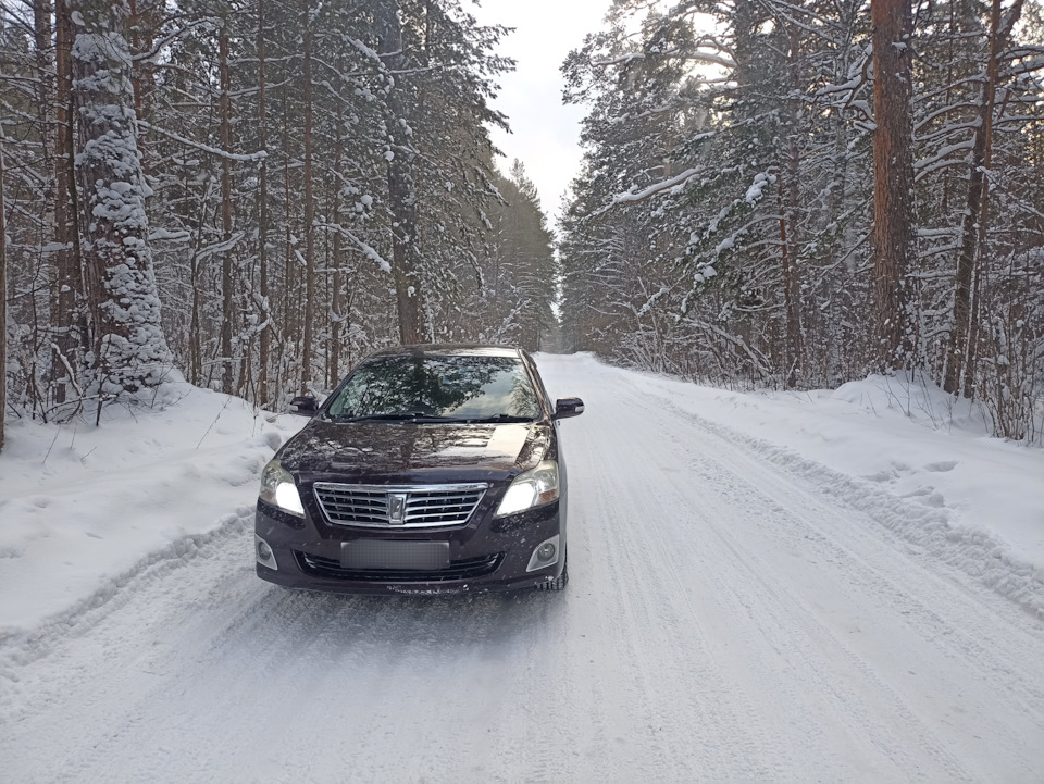 Спелая вишня🍒 в зимнем Сибирском лесу. — Toyota Premio (T260), 1,8 л ...