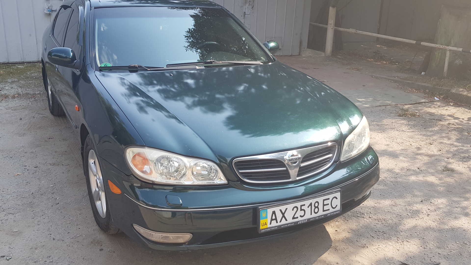 Nissan Maxima QX (A33) 2.0 бензиновый 2001 | зеленый металик🐲 на DRIVE2