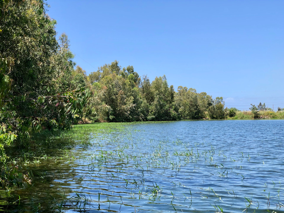 Фото в бортжурнале Suzuki Jimny (1G)