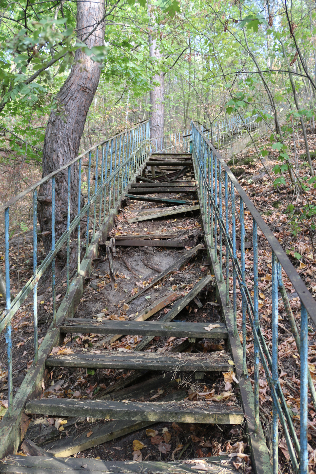 Турбаза кривоборье воронеж. Турбаза кривоборье воронеж. Рыбацкий поселок кривоборье. Заброшенная турбаза в кривоборье. Кривоборье воронежская область качели.