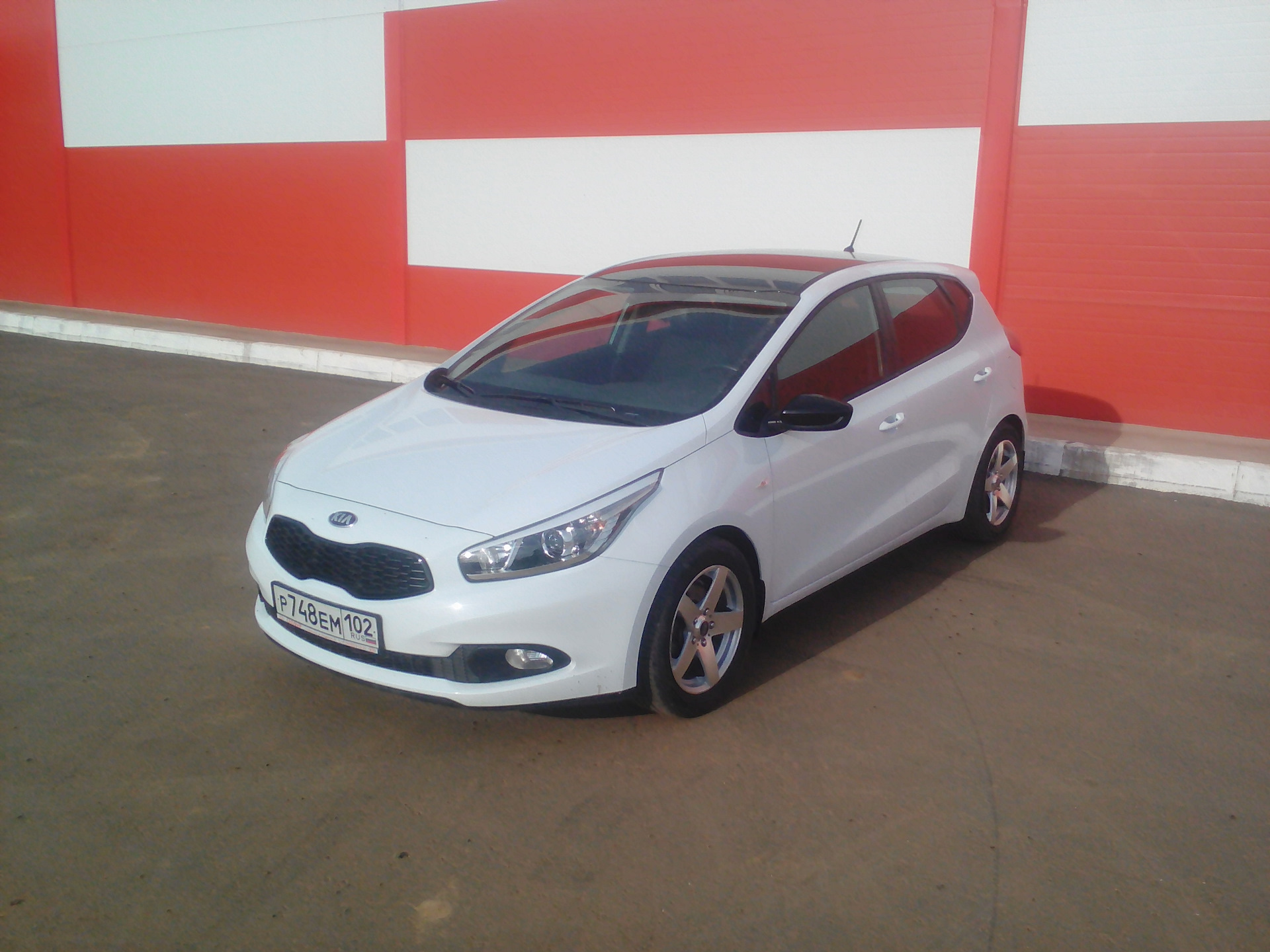 Kia Ceed ed черная крыша