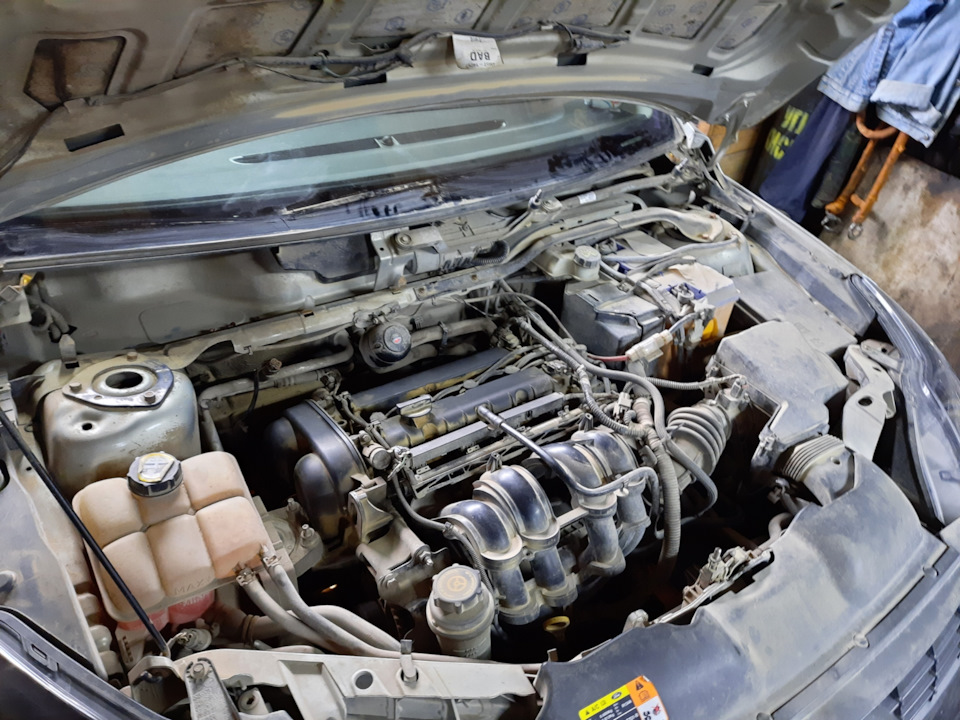 Замена прокладки выпускного коллектора — Ford Focus Hatchback II, 1,6 л ...