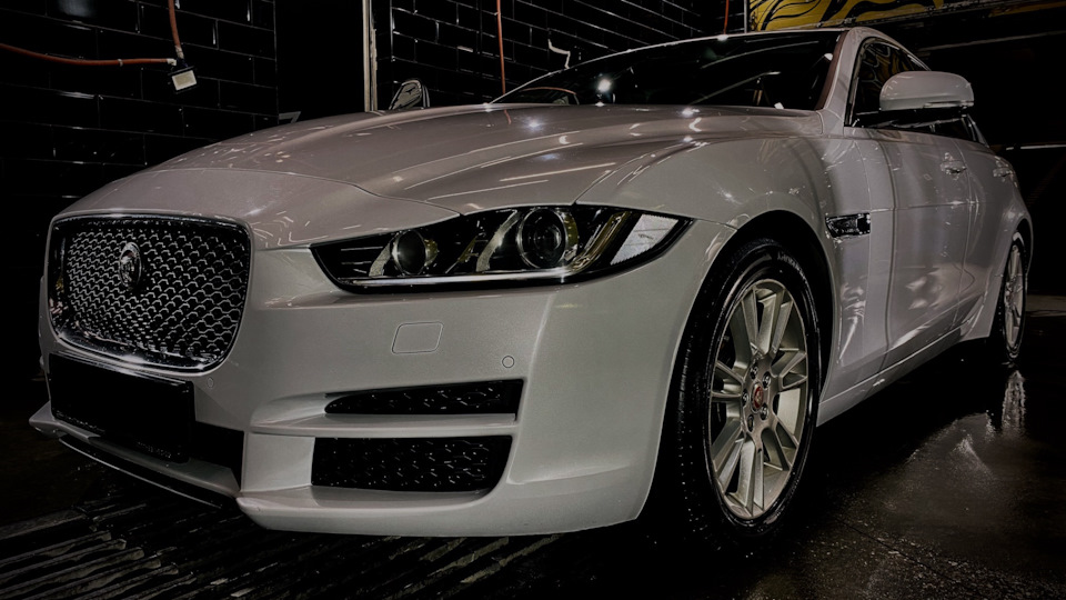 Jaguar XE | Дикий котяра 😼