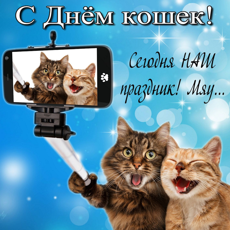 Национальный день оргазма: о чём вы не знали, но стеснялись спросить?