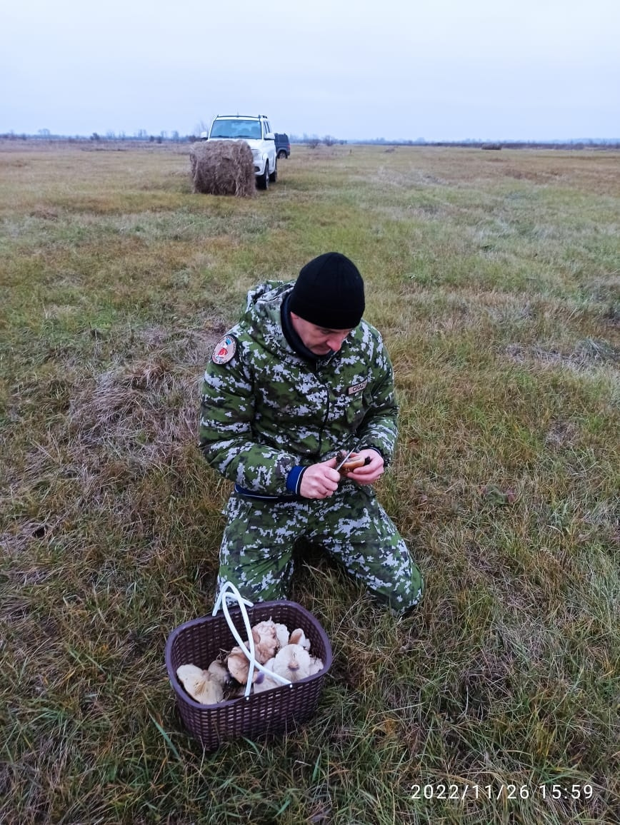 Фото в бортжурнале УАЗ Patriot. Запчасти на фото: 261559