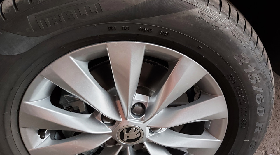 #1. Что за зверь эти Pirelli Scorpion (не Scorpion Verde) — Skoda Karoq ...