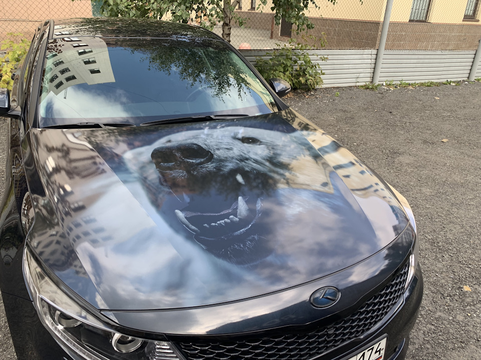 Фото в бортжурнале KIA Optima (4G)