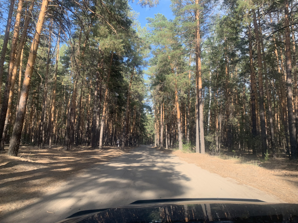 Photo from the logbook Toyota Highlander (XU50)