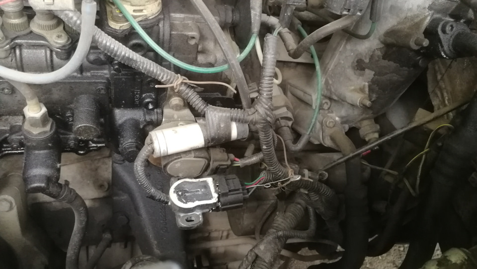 Фото в бортжурнале SsangYong Musso Sports