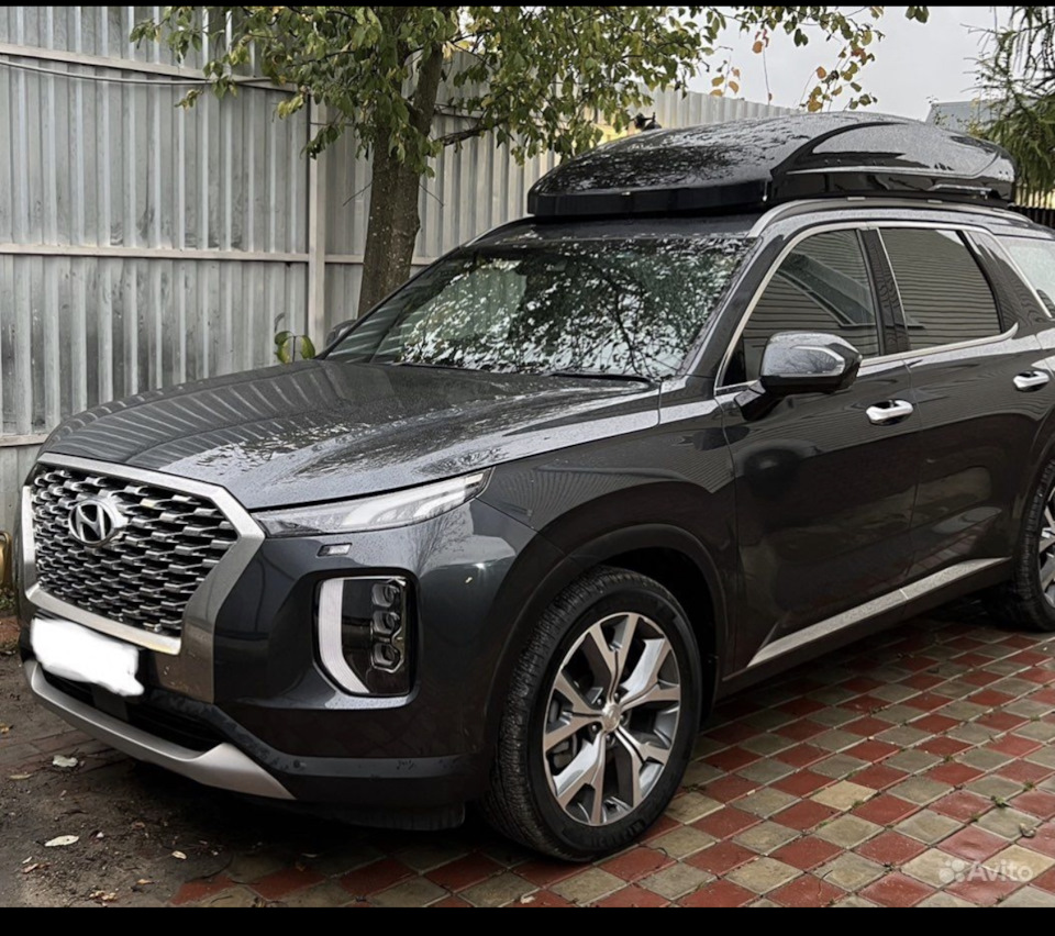 Хендай палисад 2019. Хендай палисад дизель 2. Хендай палисад. Палисад отзывы. Огородная палисада 5 standard /зеленый/.