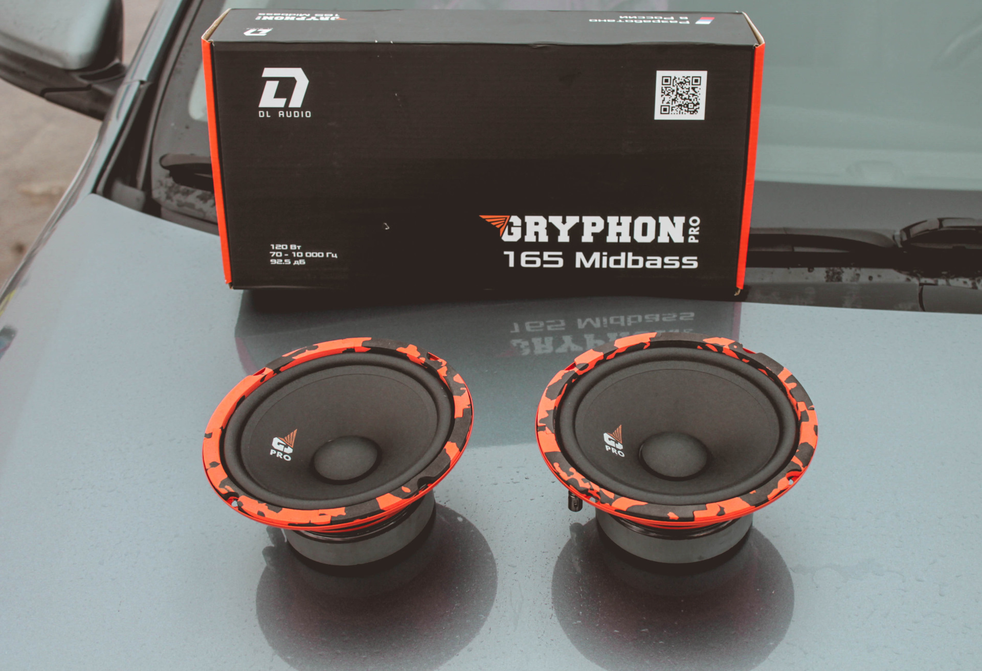 Dl Audio Gryphon Pro 69 Купить