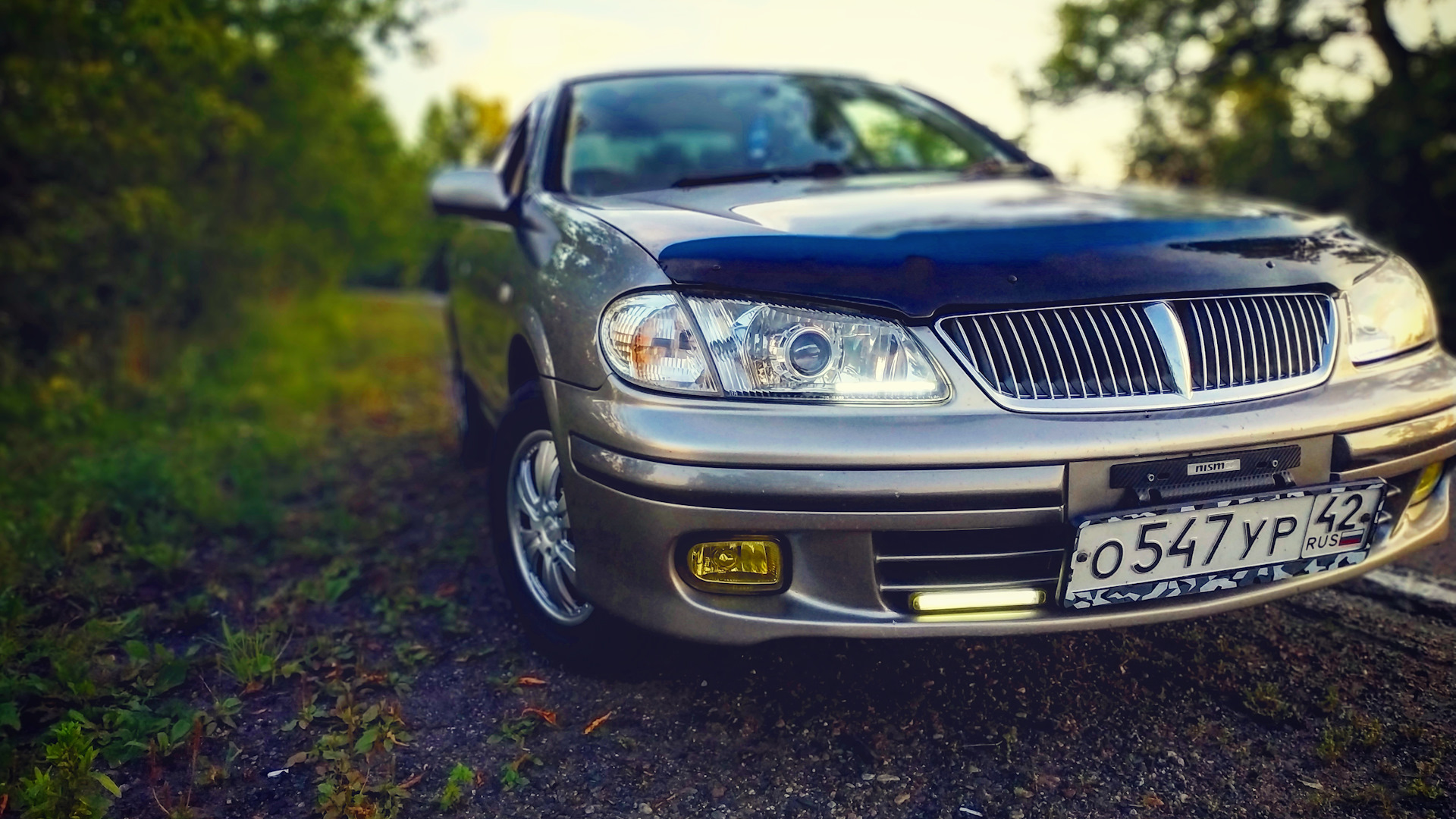 Nissan bluebird sylphy