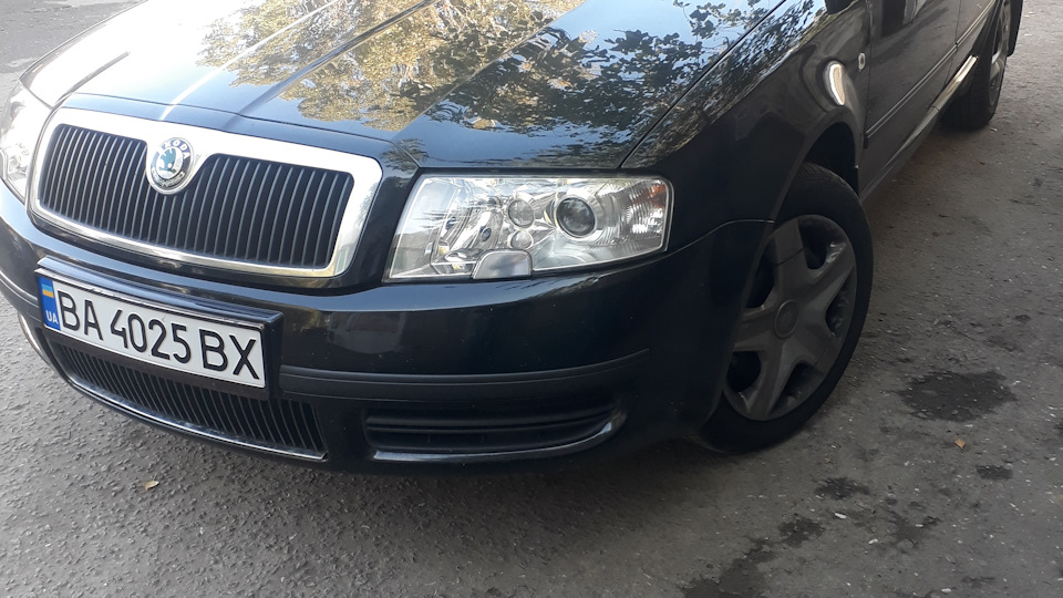 Led на противотуманки — Skoda Superb Mk1, 1,8 л, 2006 года ...