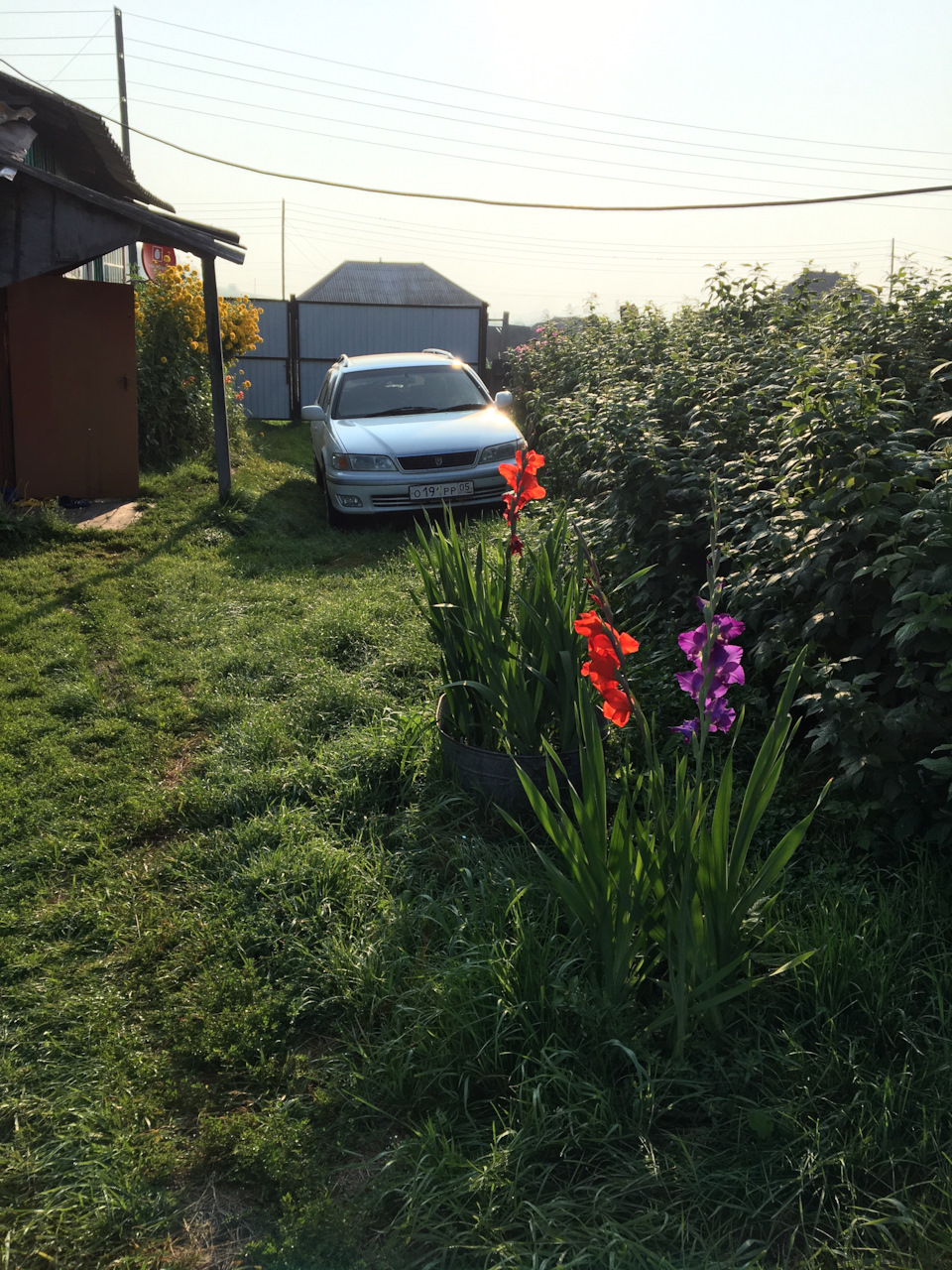 ASL (ограничитель максимальной скорости) на дискавери — Land Rover ...