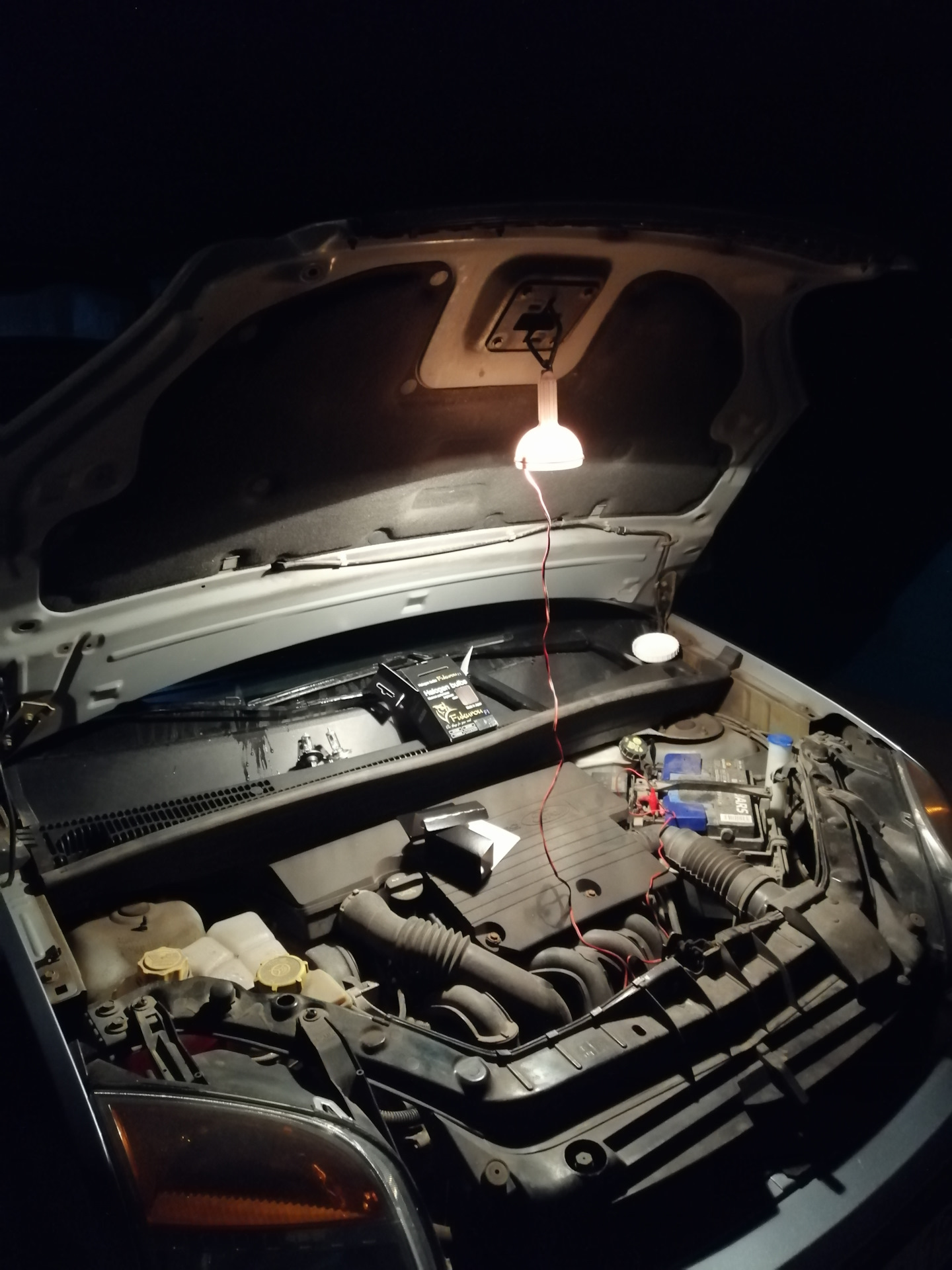 Яркие лампочки в ближний. — Ford Fusion, 1,4 л, 2007 года | тюнинг | DRIVE2