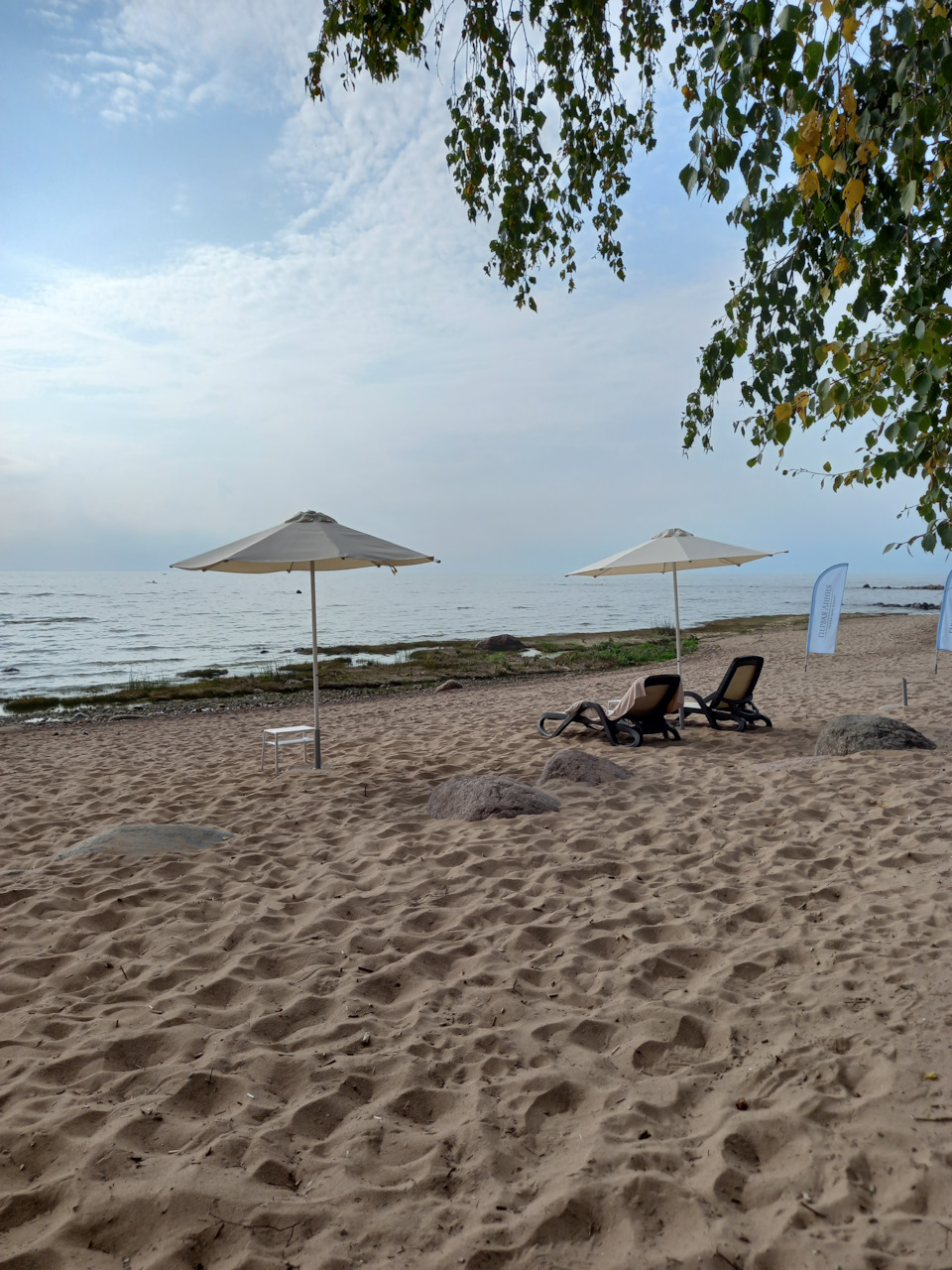 Фото в бортжурнале Renault Sandero 2G