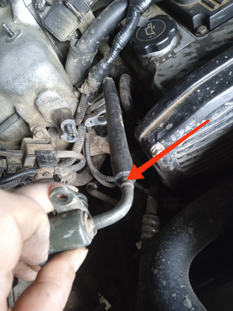 Фото в бортжурнале KIA Sportage (1G)