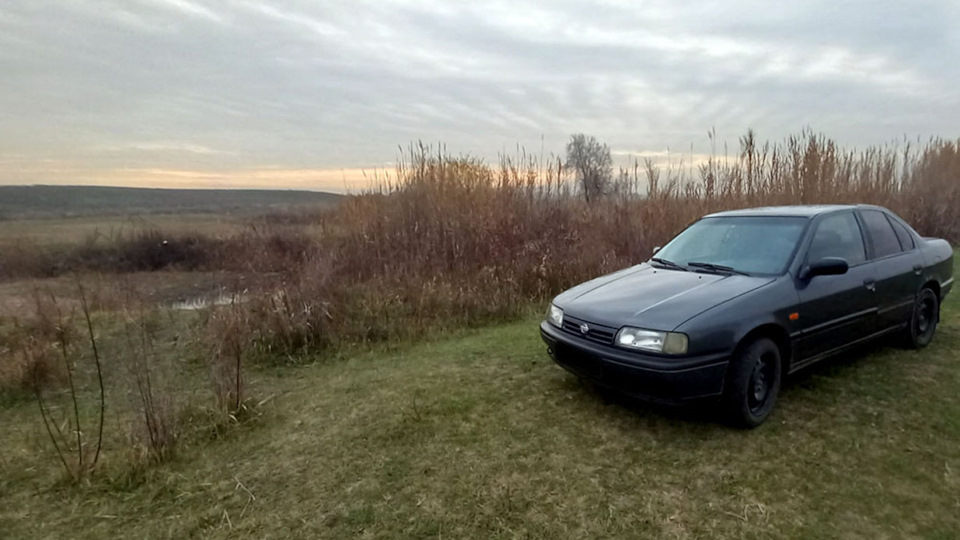 Как вынуть внутреннюю гранату слева? — Nissan Primera (P10), 2 л, 1994 ...