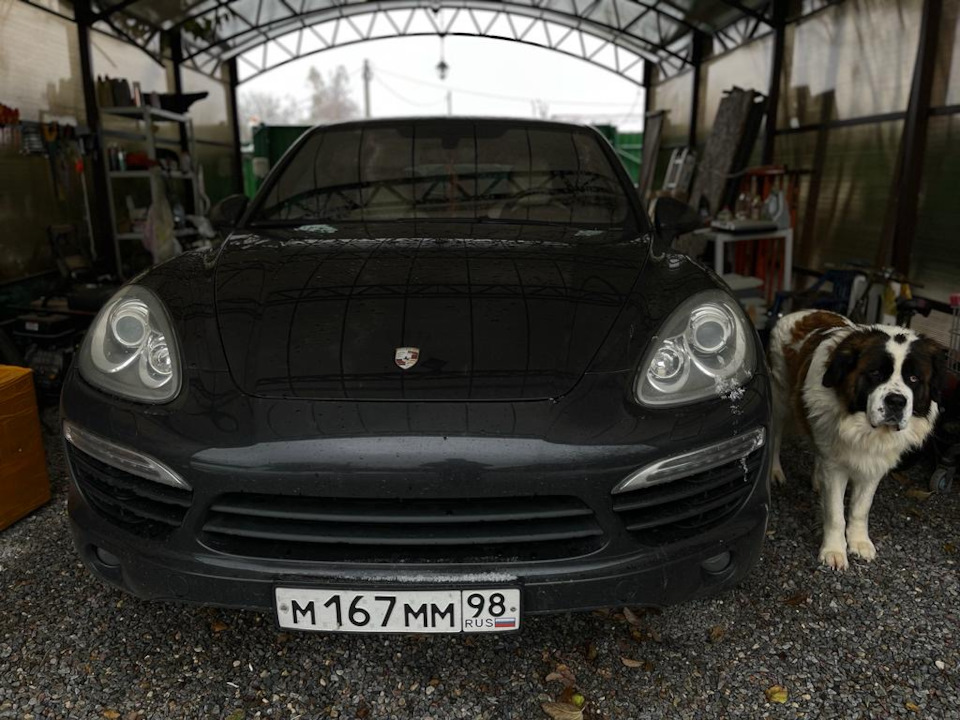 Планирую продажу Порше — Porsche Cayenne (2G) 958, 3 л, 2011 года ...