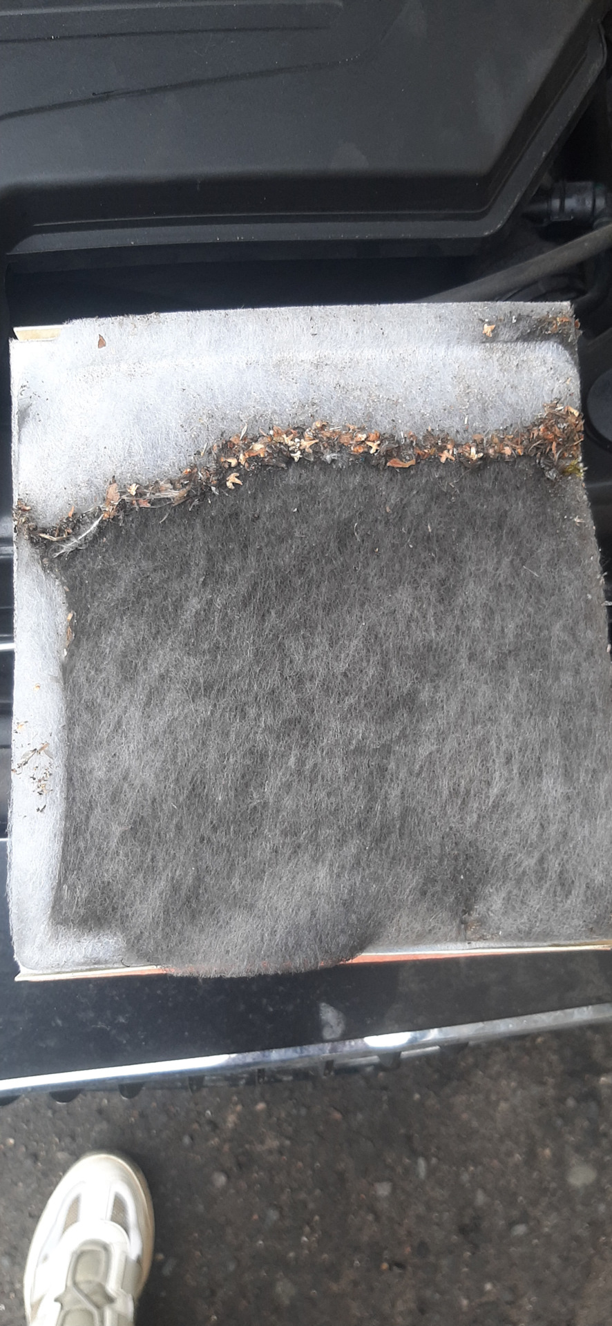 Фото в бортжурнале BMW 4 series Gran Coupe (F36)