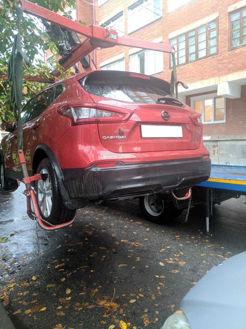 Как Кашкай ездил в Осетию зубров выпускать, а покатался на эвакуаторе. —  Nissan Qashqai (2G), 2 л, 2021 года | путешествие | DRIVE2