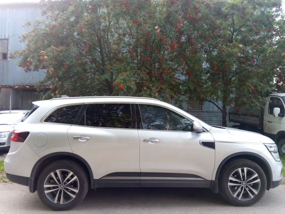 СЕДОЙ под рябиной, по приданию зима знать будет морозной — Renault Koleos (2G)