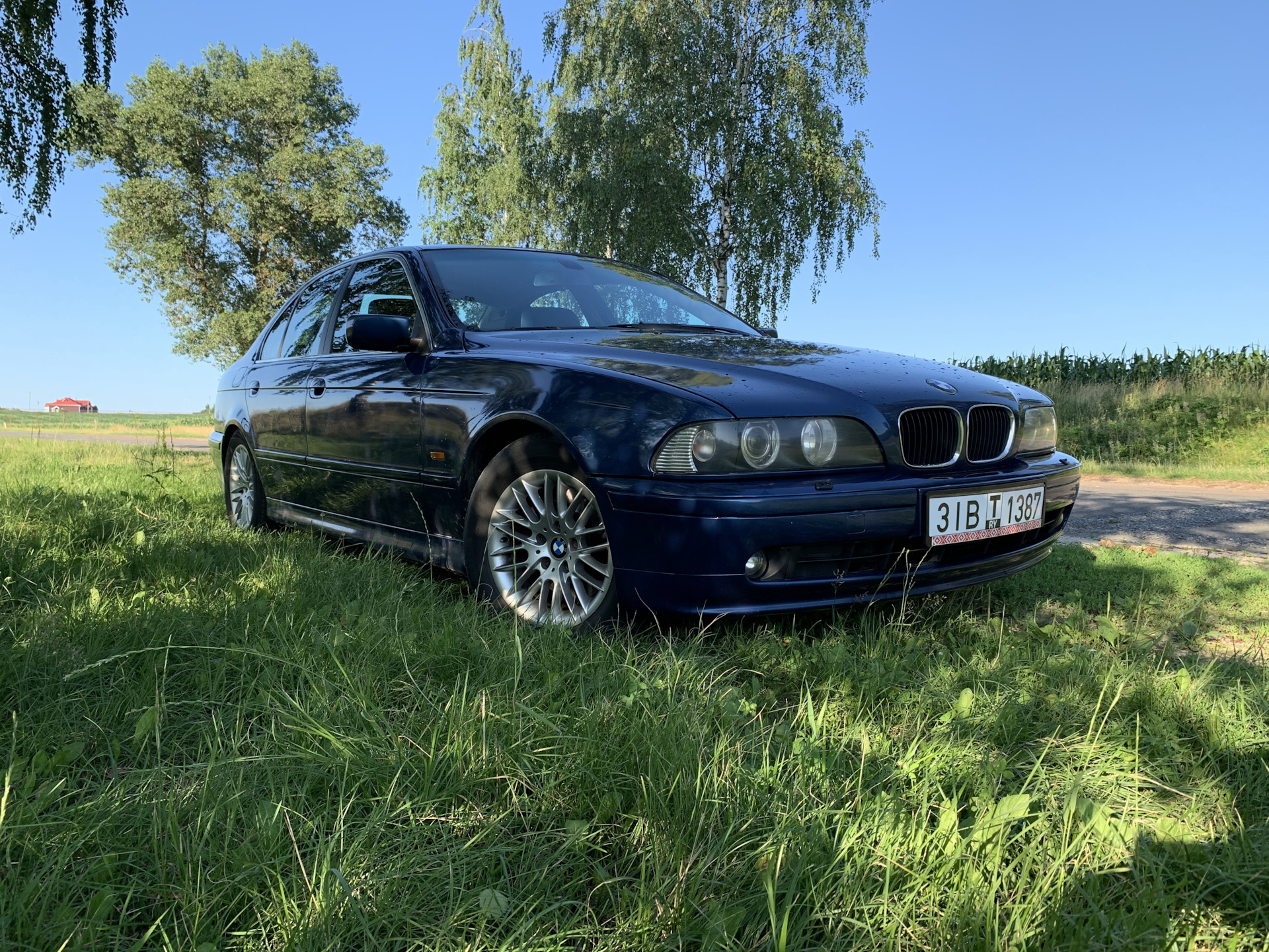 Ну привет, родная) — BMW 5 series (E39), 3 л, 2001 года | покупка машины |  DRIVE2