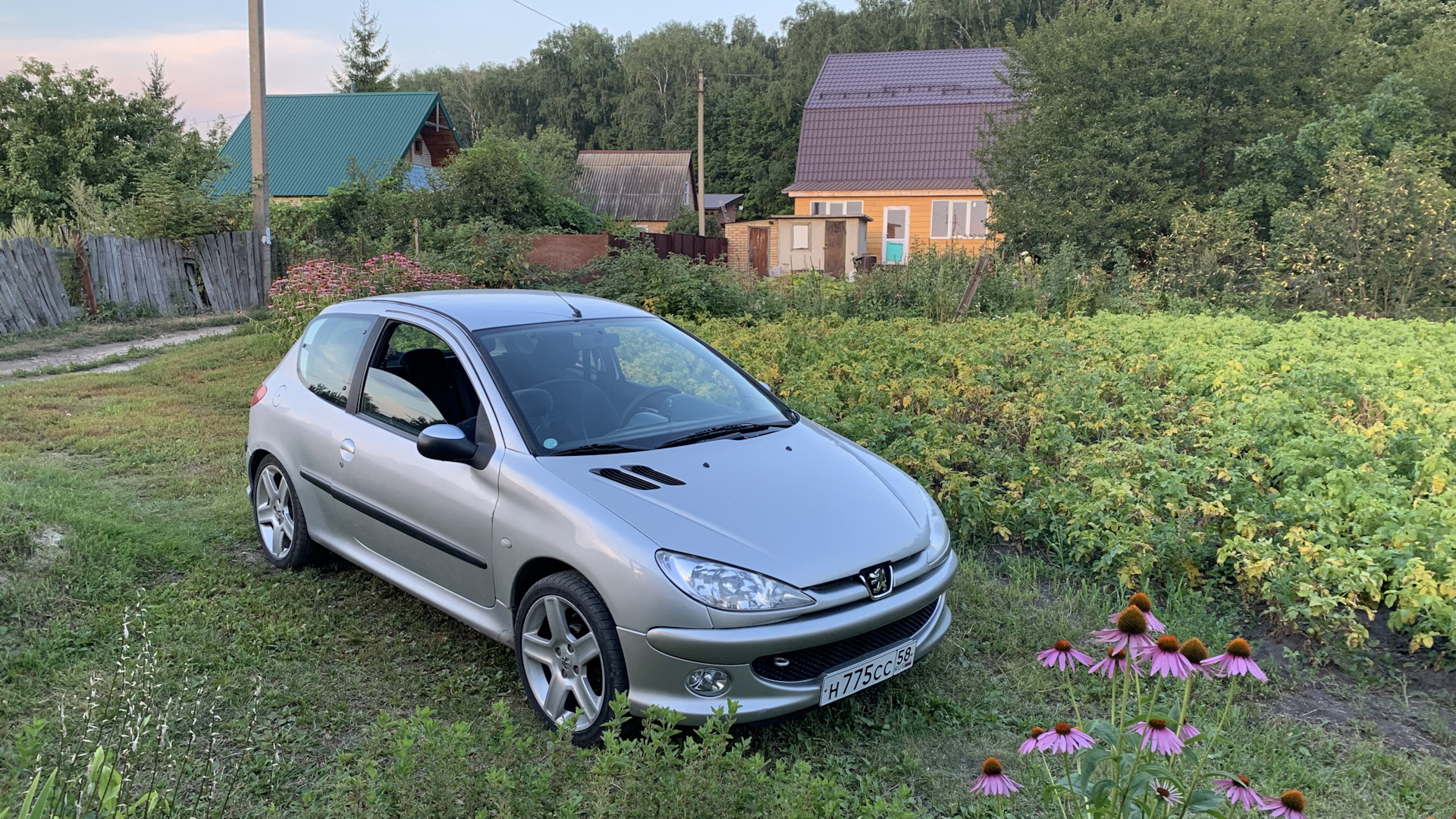 Peugeot 206 1.4 бензиновый 2003 | Тасманский дьявол. на DRIVE2