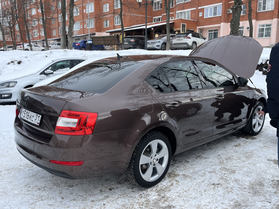 Фото в бортжурнале Skoda Octavia A7 Mk3