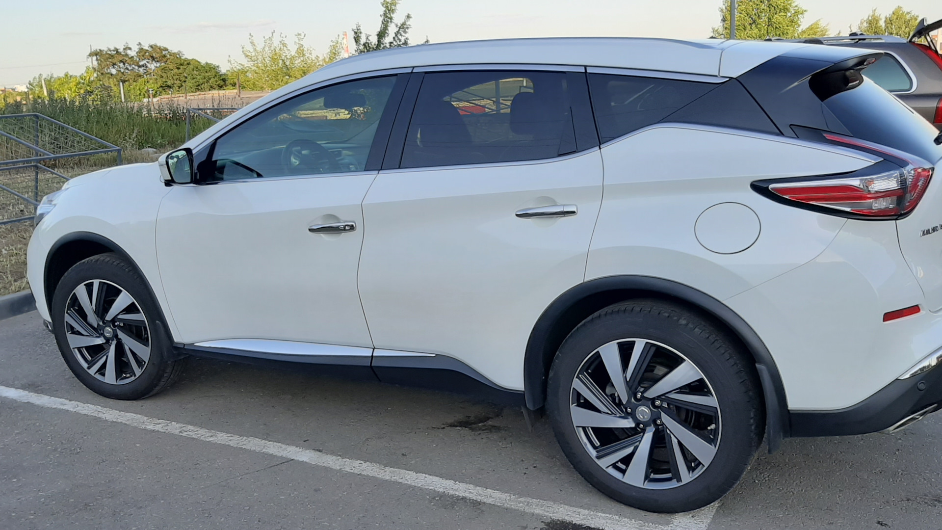 Nissan Murano III 3.5 бензиновый 2019 | Белый Hight+ на DRIVE2