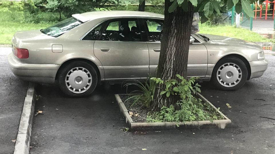 Порвало грм — Audi A8 (D2), 3,7 л, 2001 года | своими руками | DRIVE2