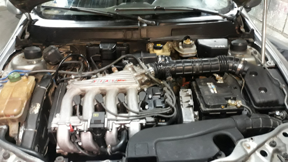 Новая игрушка — Volkswagen Golf Mk2, 1,8 л, 1990 года | просто так | DRIVE2