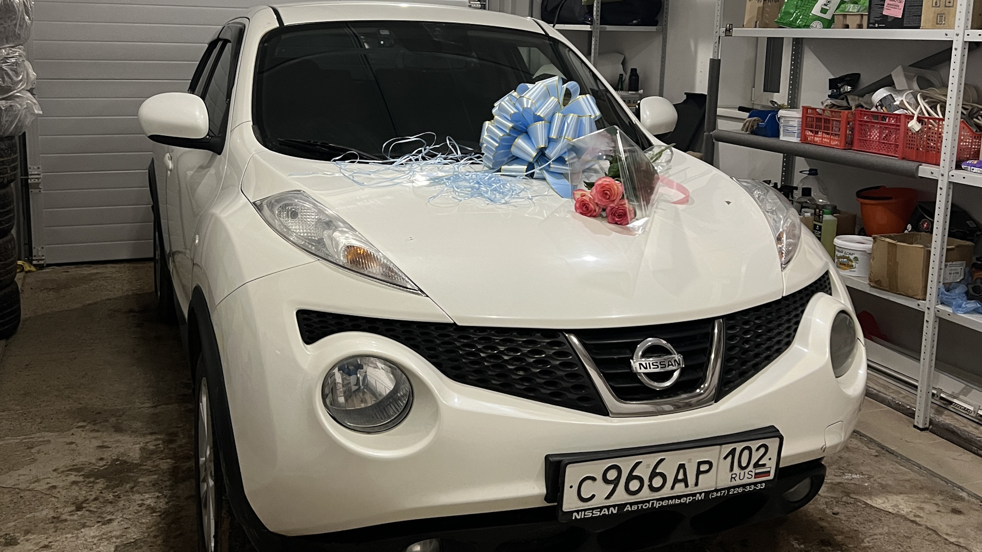 Nissan Juke (1G) 1.6 бензиновый 2014 | Жук жены на DRIVE2