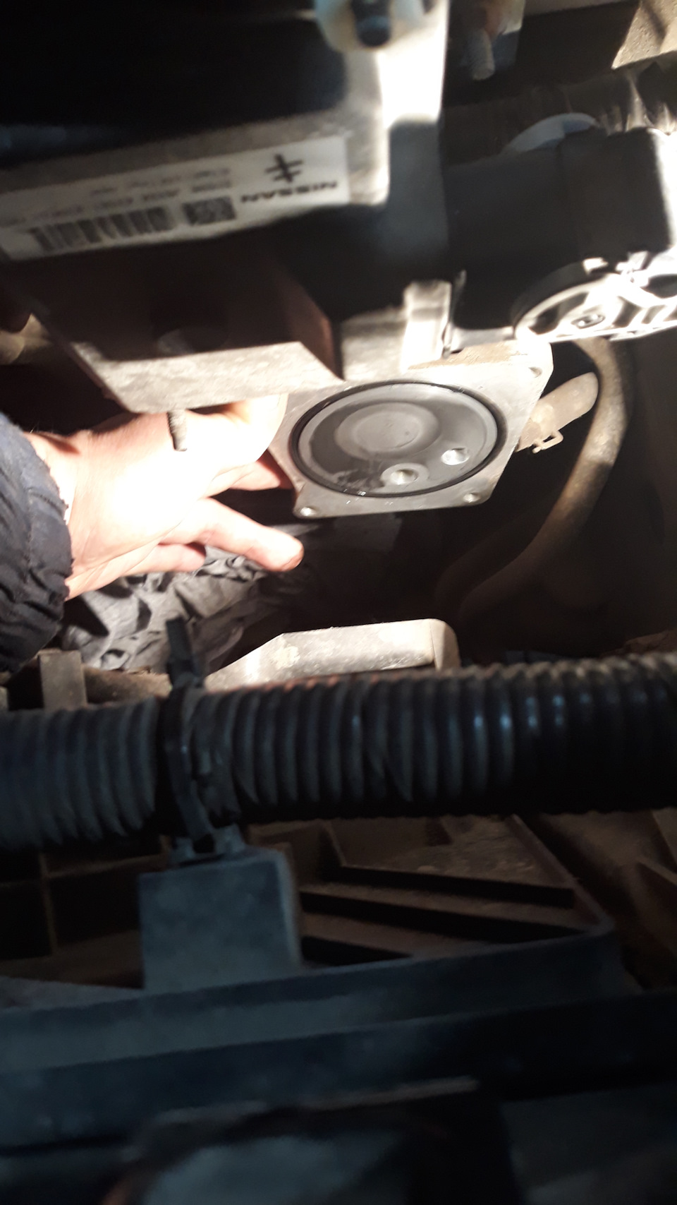 Фото в бортжурнале Nissan X-Trail II (t31)